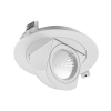 Trunk LED Downlight