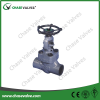 Socket Weld Ends Forged Steel A105 Globe Valve