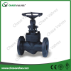 Forged Steel Globe Valve Flanged Ends