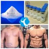 Testosterone Acetate (CAS No: 1045-69-8) for Muscle Enhancer bodybuilding