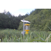 solar mosquito killer lamp Solar Insecticidal Light