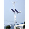 wind solar street light Excellent Wind-solar Street Light