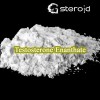 Testosterone Enanthate Steroid Performance Enhancing Drugs