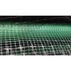 Tensile Plastic Netting