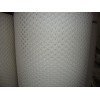 Extruded Plastic Flat Nets Plastic Mesh
