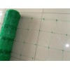Plastic Climbing Plant Support Net