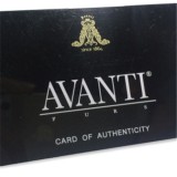 Programmable Magnetic Card