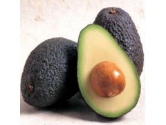 Avocado oil, Avocado Essential Oil,Persea Gratissima Oil,CAS 8024-32-6