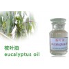 Organic Eucalyptus Oil,Eucalyptus essential oil,Pure Natural eucalyptus leaf oil 80%, CAS 8000-48-4