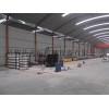 FRP lighting sheet production line