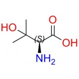 (S)-2-amino-3-hydroxy-3-methyl