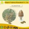 China Factory Supplier Natural Saw palmetto Extract Powder