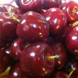 High Simulation Foam Red Apple