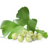 Ginkgo Biloba Extract