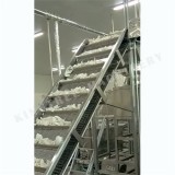 Baffle Coconut Meat Conveyor M