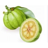 Garcinia Cambogia Extracts