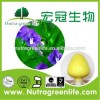 Baikal Skullcap Root Extract