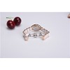 Elegant lady’s ceramic & stainless steel watch