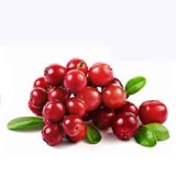 Cranberry Extract