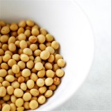 Daidzein