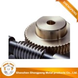 Worm Transmission Gear