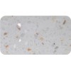 Special Series 80613 Shell