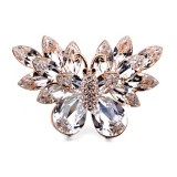 Crystal Brooch