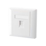 86 Type Faceplate 1 Port