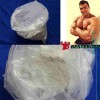 Dehydronandrolone