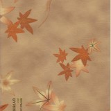 Art Embossing PVC Film For Cei