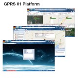 Multi-Language Support Online
