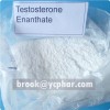 Testosterone Enanthate