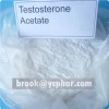 Testosterone Propionate