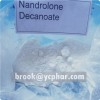 CAS 360-70-3 Nandrolone Decanoate