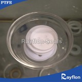 Virgin PTFE Piston Seals