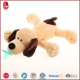 Brown Undressed Dog With Pacif