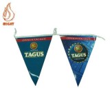 Plastic Bunting