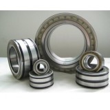 Large-size Bearings