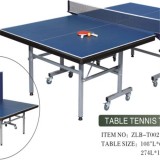 Professional Table Tennis Tabl