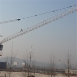 D80 Luffing Crane