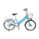 20 Inches 48V12AH Household Le