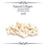 Collagen Capsule