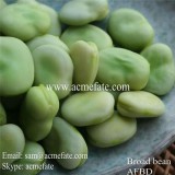Frozen Broad Beans