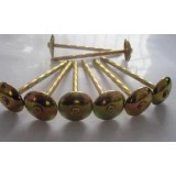 Color Plating Roofing Nails
