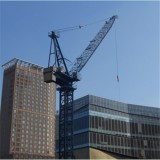 D315 Luffing Crane