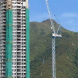 D260 Luffing Crane
