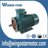 Explosion Proof Motors
