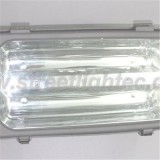 Induction Street Light 400W
