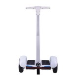 10 Inch Electric Scooter With