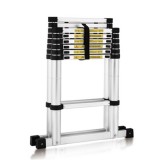 7+2 Telescopic Ladder